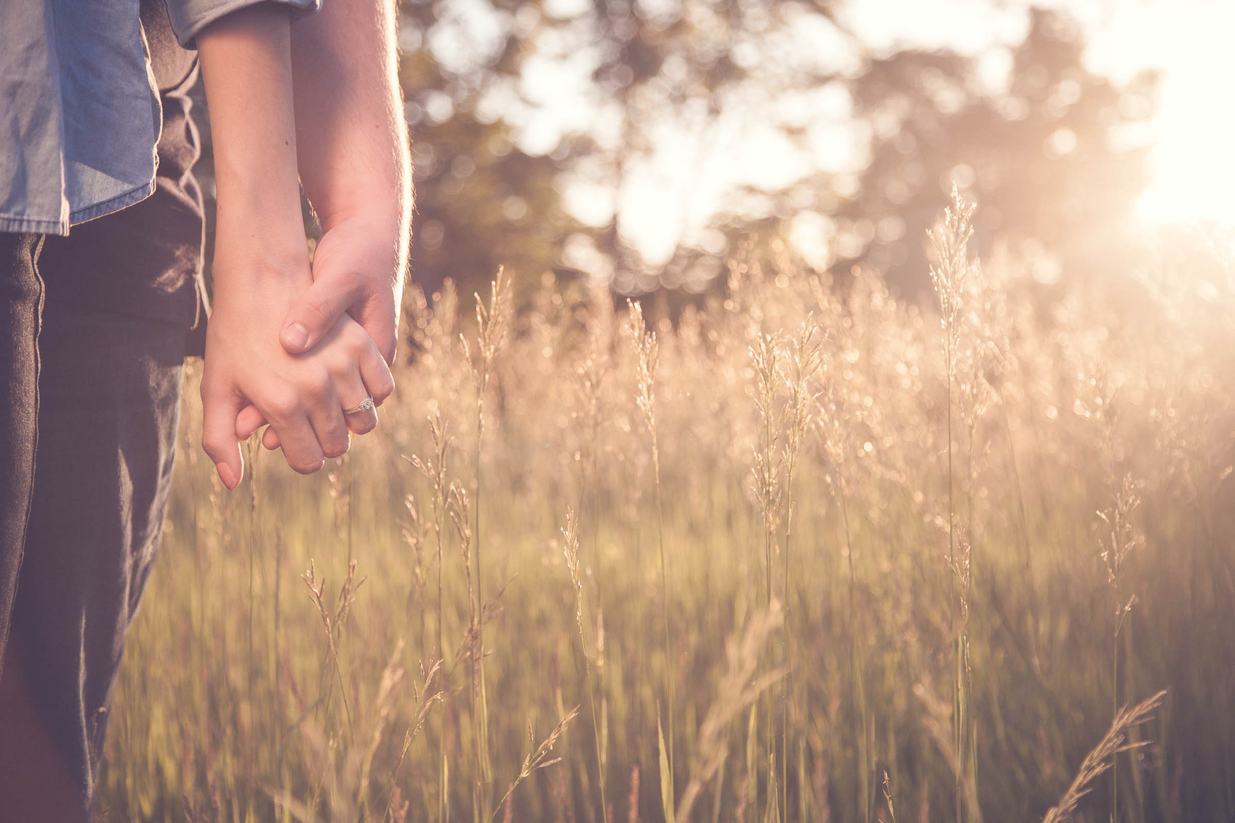 Wedding couple holding hands in field